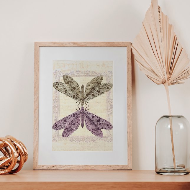 Strange and Mystical Moths Communicating Poster (Creator Uploaded)