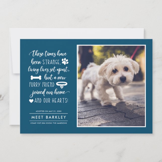 Strange Times New Pet Photo Announcement | Blue (Front)