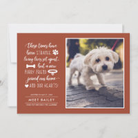 Strange Times New Pet Photo Announcement | Orange