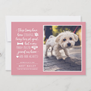 Strange Times New Pet Photo Announcement Pink