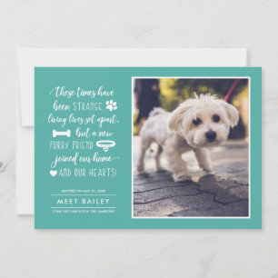 Strange Times New Pet Photo Announcement Teal