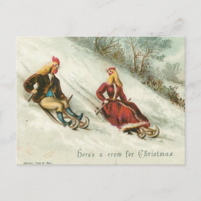 Strange Vintage Chickens Sledding Christmas Holiday Postcard (Front)