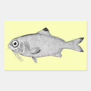 Strange vintage fish drawing rectangular sticker