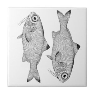 Strange vintage fish drawing tile