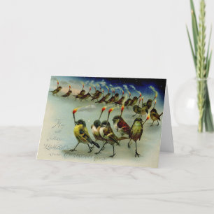 Strange Vintage Mob of Birds with Matches Postcard