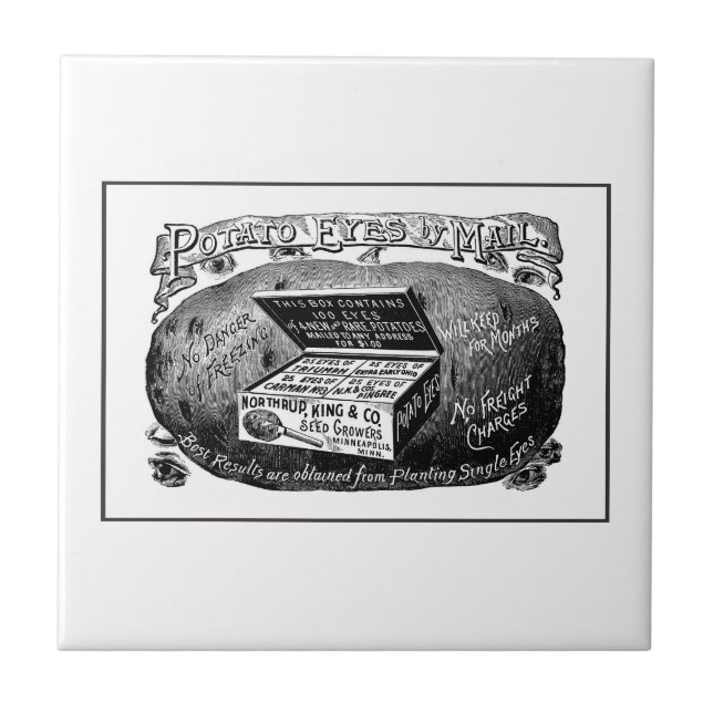 Strange vintage potato advert tile (Front)