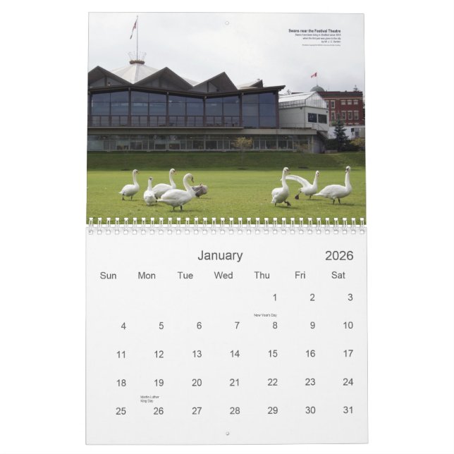 Stratford Swans Calendar (Jan 2026)