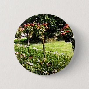 Stratford-upon-Avon Garden Rose snap-29602 jGibney 6 Cm Round Badge