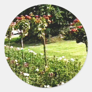 Stratford-upon-Avon Garden Rose snap-29602 jGibney Classic Round Sticker