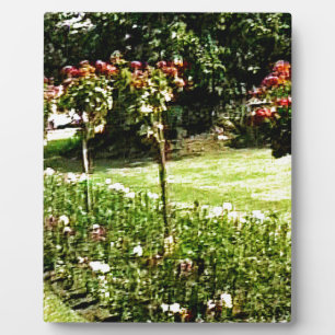 Stratford-upon-Avon Garden Rose snap-29602 jGibney Plaque