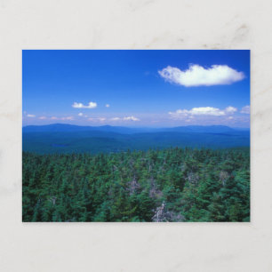 Stratton Mountain Summit View Postcard