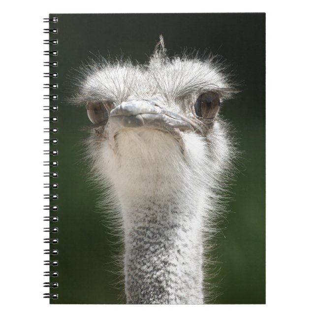 Strauß Spiral Notebook (Front)