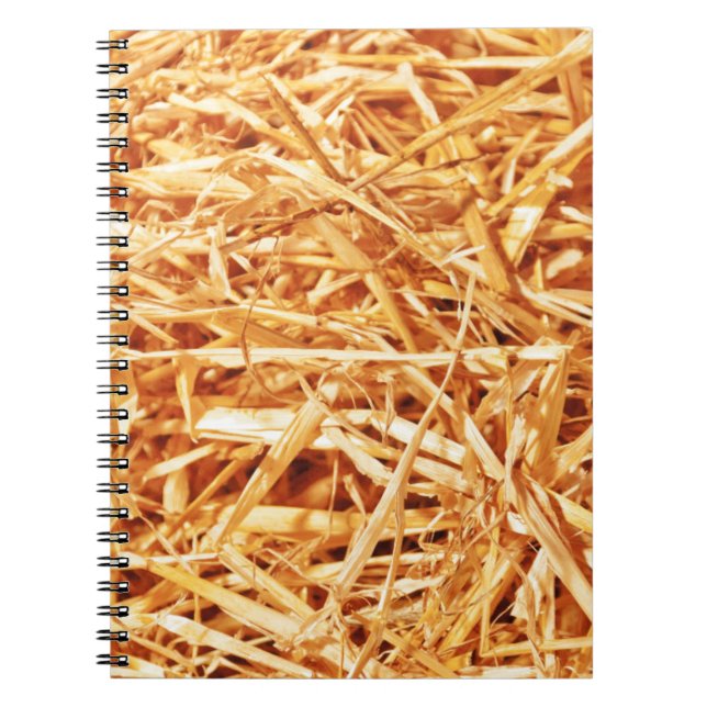 Straw, Abstract Design Spiral Notebook (Front)