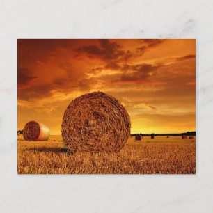 Straw bales on farmland with red cloudy sky postcard