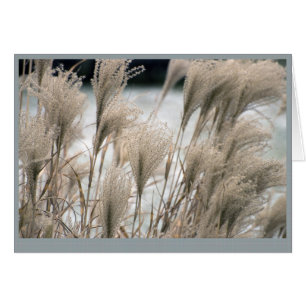 Straw in winter, 2011 calendar