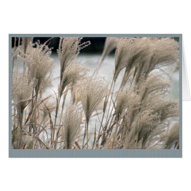 Straw in winter, 2011 calendar (Front Horizontal)