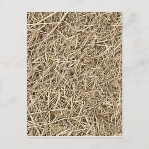 Straw Postcard