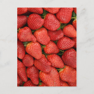 STRAWBERRIES 5X7 POSTCARD