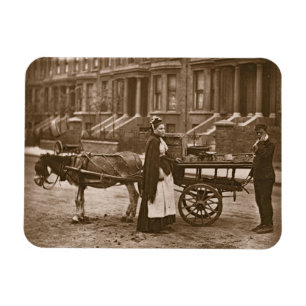 'Strawberries - all ripe, all ripe!', 1876-78 (woo Magnet