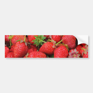 Strawberries Bumper Sticker