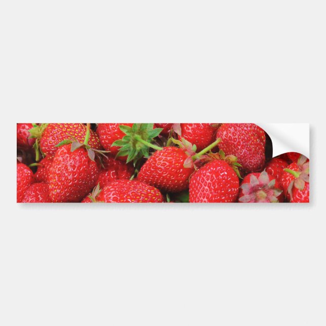 Strawberries Bumper Sticker (Front)