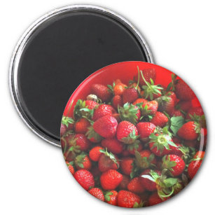 Strawberries   fresh picked red berries  magnet