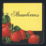 STRAWBERRIES Fruit Preserve,Canning Square Sticker<br><div class="desc">Colourful vintage elaboration for red fruit preserve , jam , jar labels.</div>