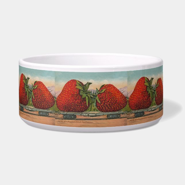 Strawberries Giant Antique Fruit Fun (Front)