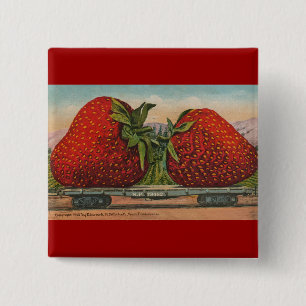 Strawberries Giant Antique Fruit Fun 15 Cm Square Badge