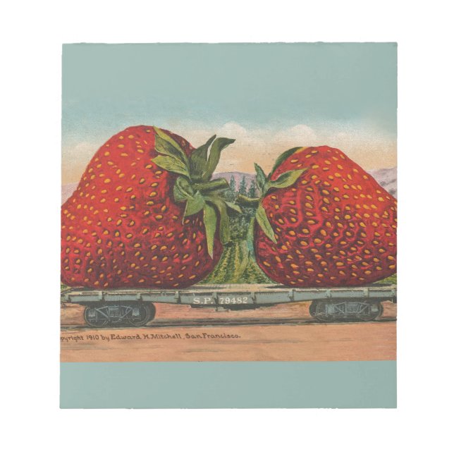 Strawberries Giant Antique Fruit Fun Notepad (Front)