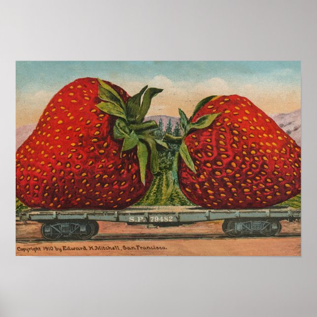 Strawberries Giant Antique Fruit Fun Poster (Front)
