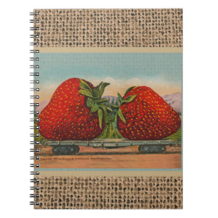 Strawberries Giant Antique Fruit Fun Spiral Notebook
