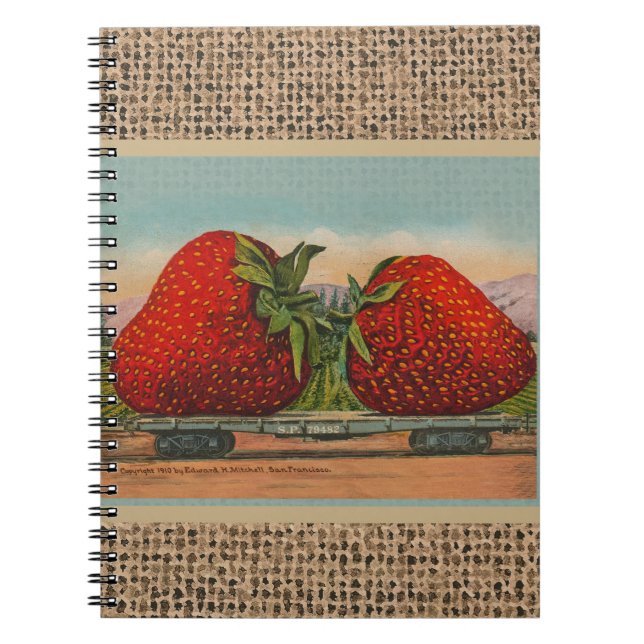 Strawberries Giant Antique Fruit Fun Spiral Notebook (Front)