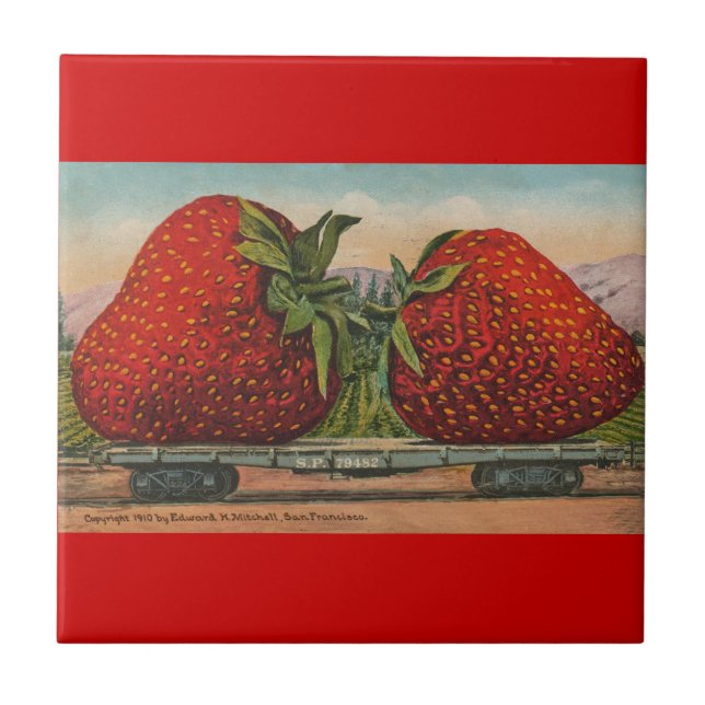 Strawberries Giant Antique Fruit Fun Tile (Front)