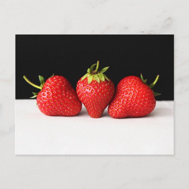 Strawberries On Black Over White pc arc2 Postcard (Front)