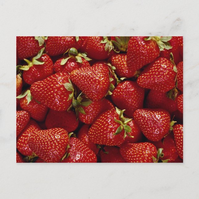 Strawberries Photo Postcard (Front)