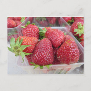 Strawberries Postcard