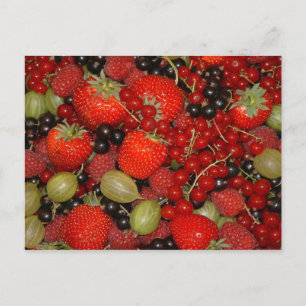 Strawberries Postcard
