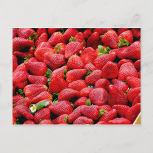 Strawberries Postcard