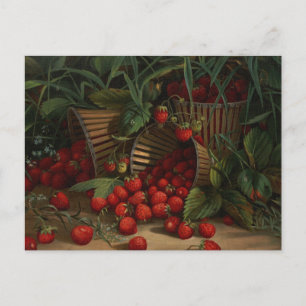 Strawberries Postcard
