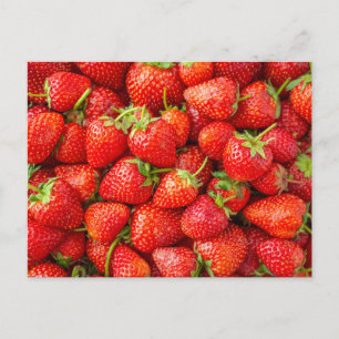 Strawberries Postcard