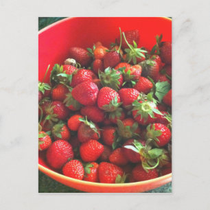 Strawberries Postcard
