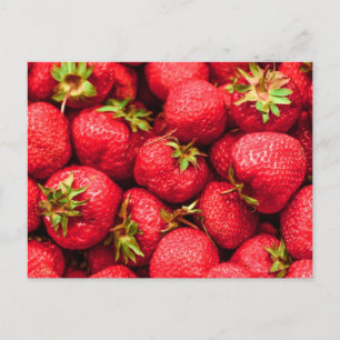 Strawberries Red Delicious Strawberry Postcard