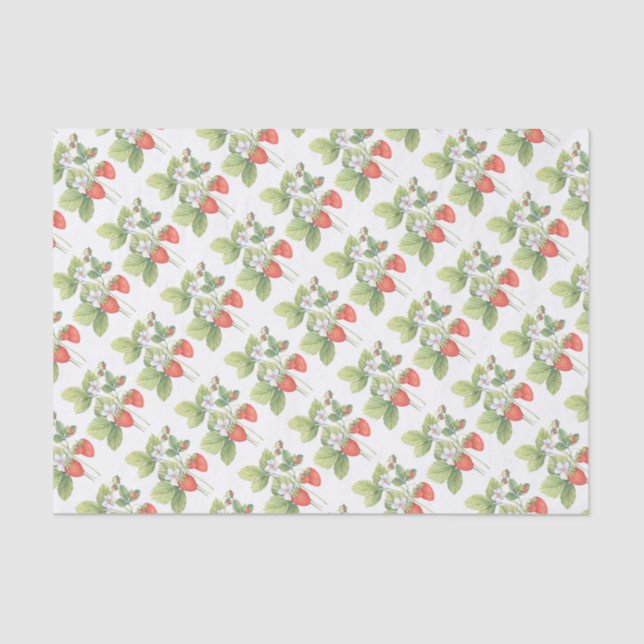 Strawberries Tissue Paper (Front)