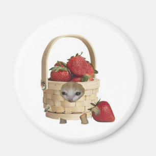 Strawberry basket cat magnet
