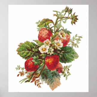 Strawberry Blooms Customisable Poster