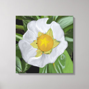 Strawberry Blossom Stretched Canvas Print