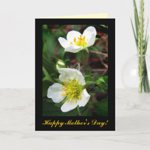 Strawberry Blossoms for Mother's Day Card