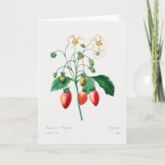 Strawberry Botanical Print Card (Front)