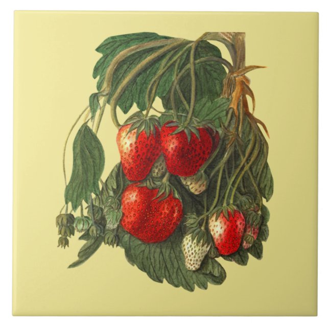 Strawberry ~ Botanical Tile ~ Kitchen ~ Any Colour (Front)